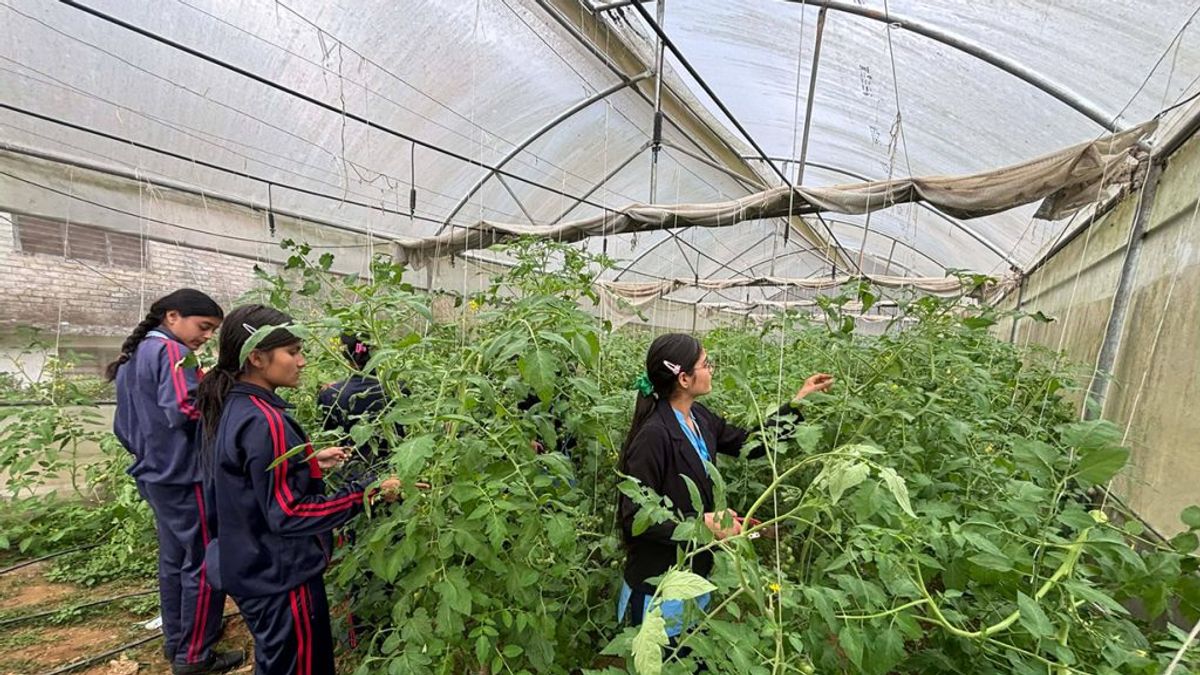 पढाइसँगै तरकारी खेती गर्दै पञ्चकन्या माविका विद्यार्थी